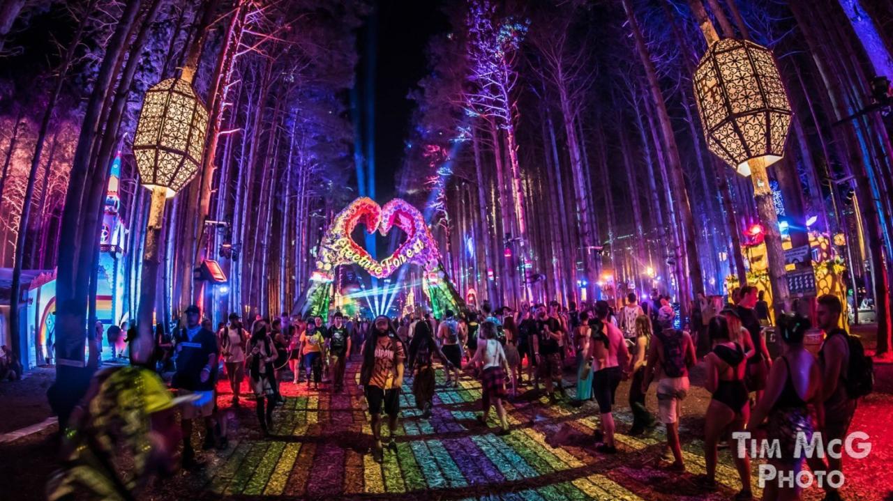 Forest electric provides stunning another review year